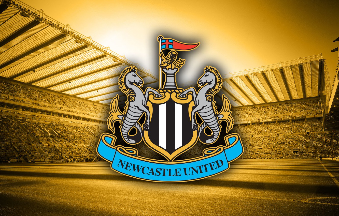 Newcastle shortlist three signings to assemble championship team for 2024 CaughtOffside