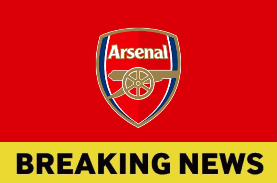 Arsenal announce long-term contract for key star who is happy to continue “living the dream” with the Gunners CaughtOffside