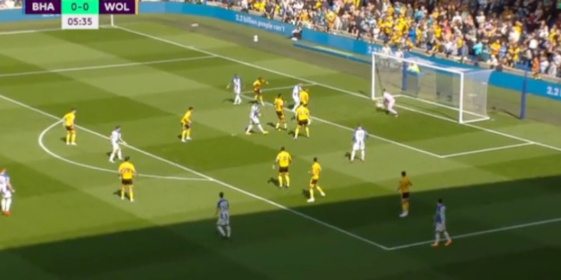 Video: Brighton fly out of the blocks against Wolves to go two-up in 13 minutes CaughtOffside