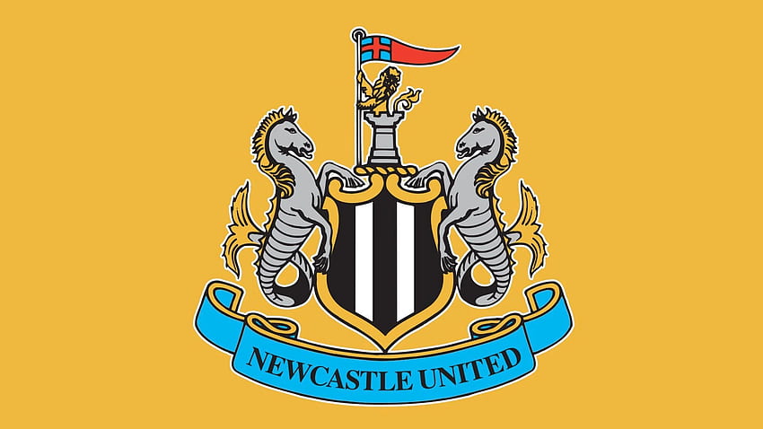 Newcastle United keen on signing defensive duo this summer