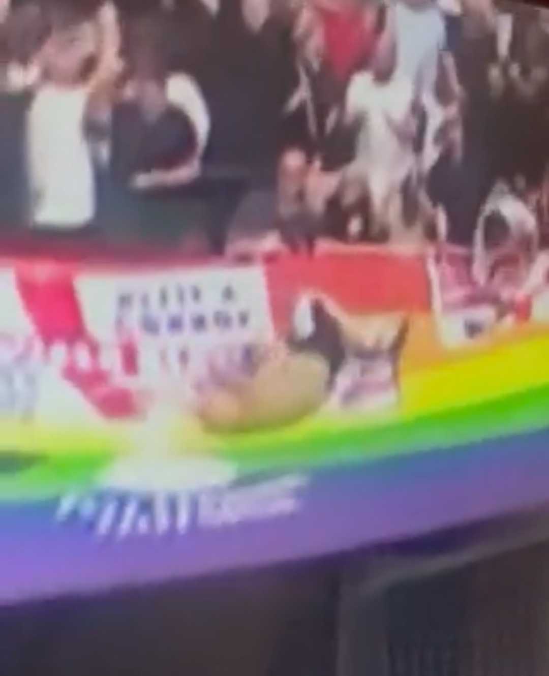 Watch: Sheffield United fan falls and rolls over a LGBTQ banner while celebrating the opening goal
